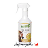 Stiefel Top Shine 750ml