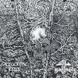 Excruciating Terror / Soil Of Ignorance - split 12"LP
