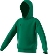 Hoody 2022 grün