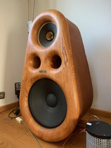 RD Acoustic Euphoria Atelier Rullit Field Coil + Coral