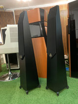 Avalon Acoustics Symbol N Ceramic