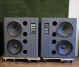 Tannoy 215 DMT MK 2 Professioneller Studiomonitor