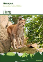 Natur pur - Berauschend schöne Wildnis