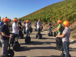 Segway-Tour Miltenberg Weinerlebnisführung