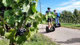 Segway-Tour Sinsheim Weinerlebnisführung