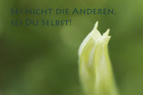 Postkarte "Sei nicht die anderen"