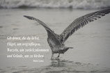 Postkarte "Gib denen, die du liebst"