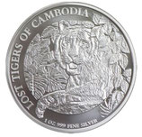 Kambodscha - Tiger 2023