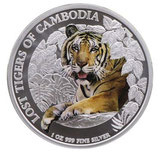 Kambodscha - Tiger 2023 coloriert