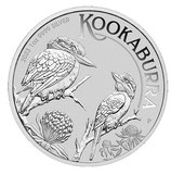 Australien - Kookaburra 2023