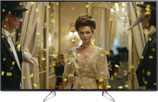 Panasonic TX-49EX613E