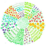 Heilpflanzen- Feldrundgang