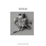 Elemental Indium - PDF Version