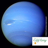 Neptun  - PDF Version