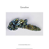 Elemental Vanadium