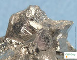 Elemental Antimon