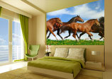 Cuadro personalizado o con imagenes de caballos tamaño .70x1.20 full color
