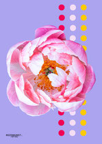 Lila bloemen - A3 poster