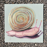 Schnecke