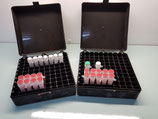 Mouse Telomere Length Quantification qPCR Assay Kit (Relative ）
