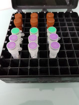 PCR clean up Kit: sSAP/Exo I Removal Kit