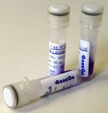 DNA Leiter BLUE 1000 bp / 1 kb (ready-to-use, 50µg/500µl)