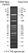 This product is not available !DNA Ladder "one for all"