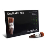 One Mark 100 bp DNA Ladder