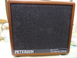 peaterson オーバーホール