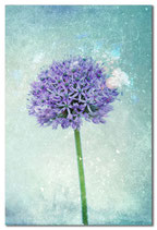 ALLIUM