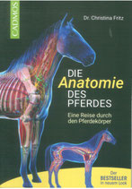 Die Anatomie des Pferdes