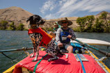 Ruffwear Float Coat Schwimmweste für Hunde