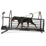 Dog Runner - Revolution Pro