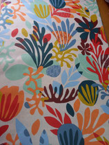 Algues multicolore