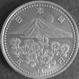 天皇陛下御在位10年