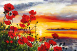 Motiv "Mohnblumen im Sonnenuntergang" AU2601
