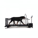 Dogrunner XL Hundelaufband