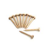 SniffleDog Outdoor Suchstifte 10er-Pack