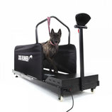 Dog Runner Large Hundelaufband