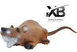 Laufende Ratte Longlife