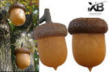 Blowgun - Eichel - Acorn 3D BF/SA