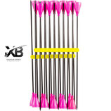Turnier-Carbon-Dart ,625" m. Trichter-Cones #2! - 20 Stück! Alex Bow SA