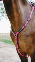 【E】NORTON Endurance Breastplate - Pop