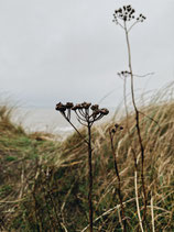 15.11. - 20.11.2026 Sylt "Gesundheit im Beruf: Persönlichkeitsentwicklung durch den Resilienzfaktor "Selbstfürsorge"