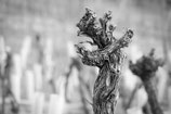 2015er Ribeira del Duero Crianza DO Callejo