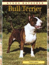 Bull Terrier