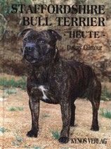 Staffordshire Bull Terrier heute