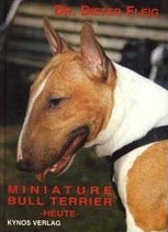 Miniature Bull Terrier heute