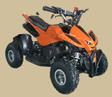 Benzin Quad 49cc