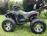Elektro-Quad 5000W 4x4 Allrad inkl. Seilwinde